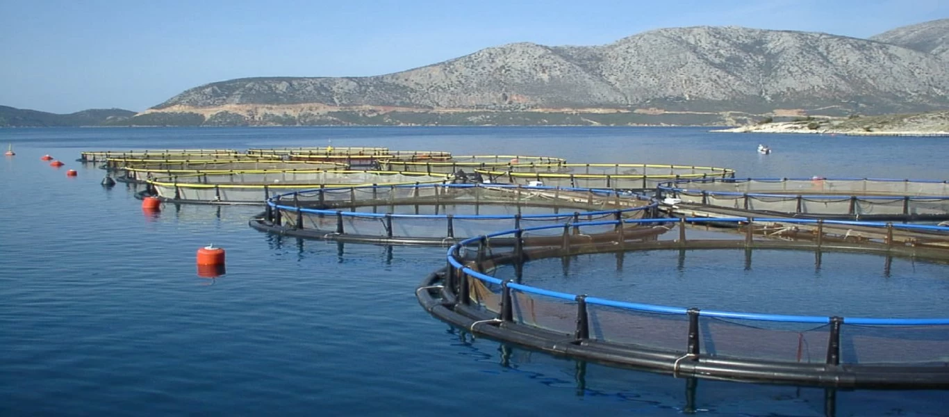 Χωροταξικό και χρηματοδότηση το κεντρικό θέμα συζήτησης στη ΓΣ της Οργάνωσης Παραγωγών Υδατοκαλλιέργειας